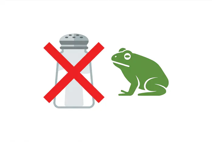 Illustration vectorielle d'une salière barrée à côté d'un crapaud